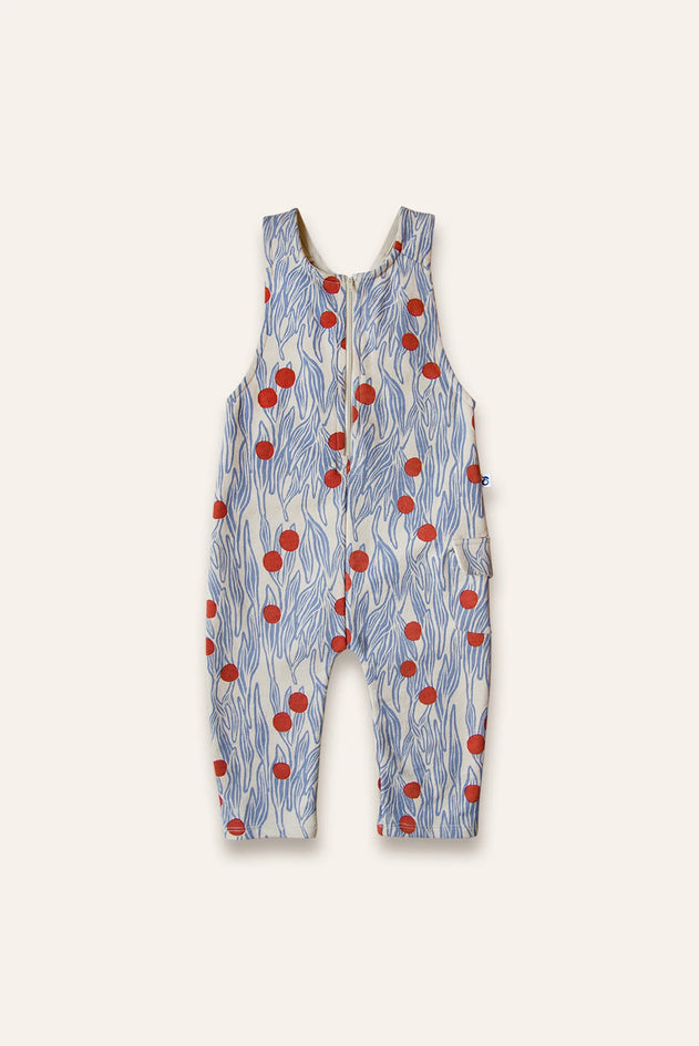 Winter Berry Kids' Overall Blue