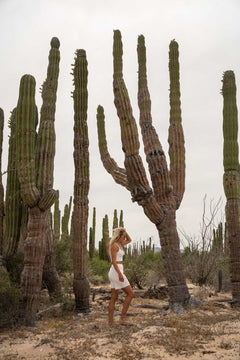 Terra Ribbed Shorts Navy