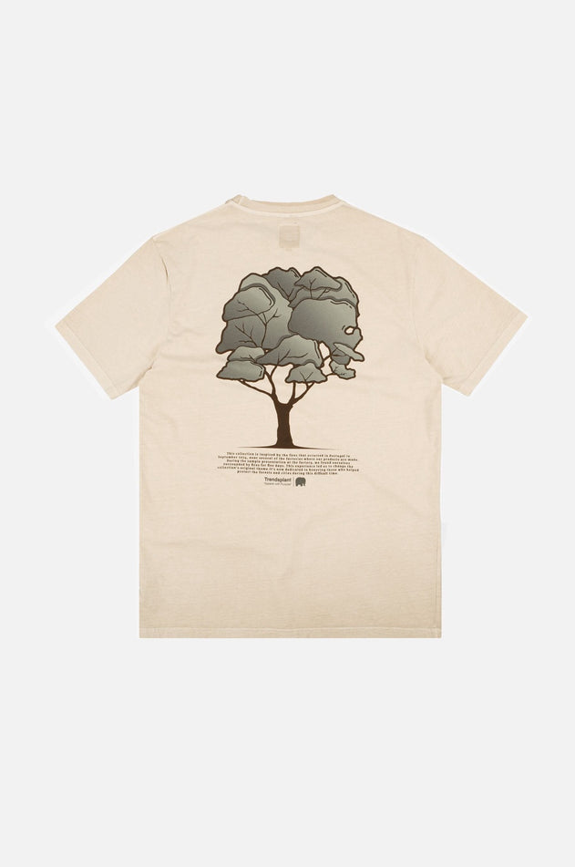 Pontido Pigment T-Shirt Eucalyptus
