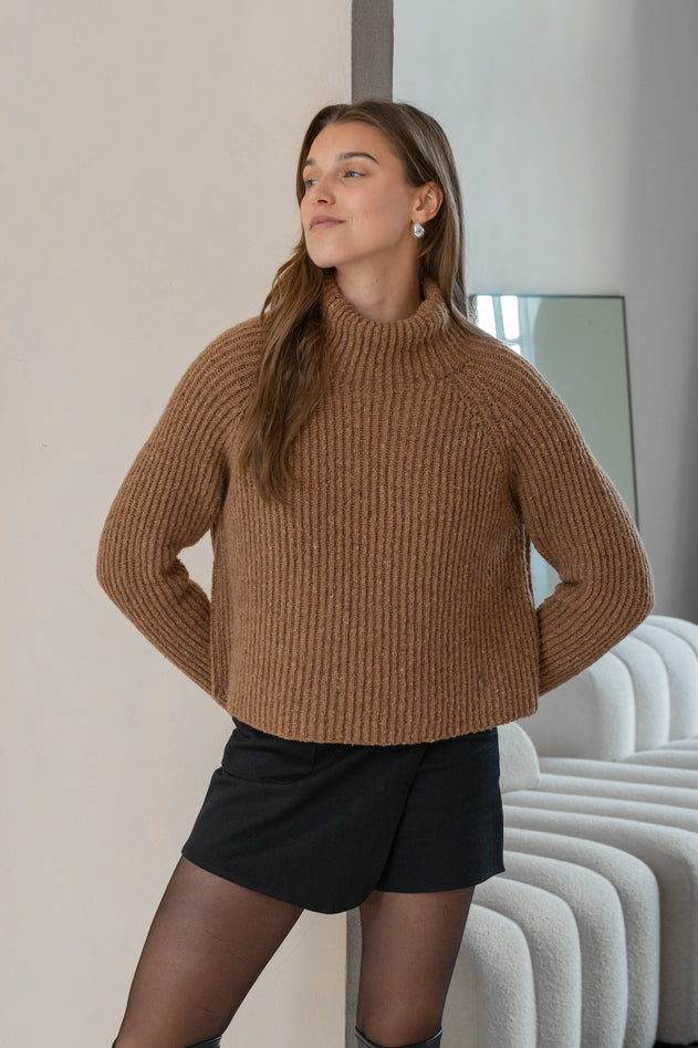 Recycled Wool Turtleneck Sweater Brown