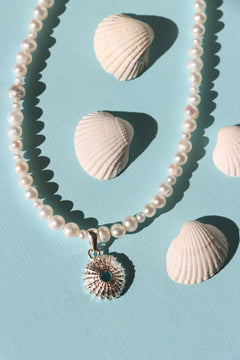 b8e29507b72ba954d6ce826d26ecb1cc.webp