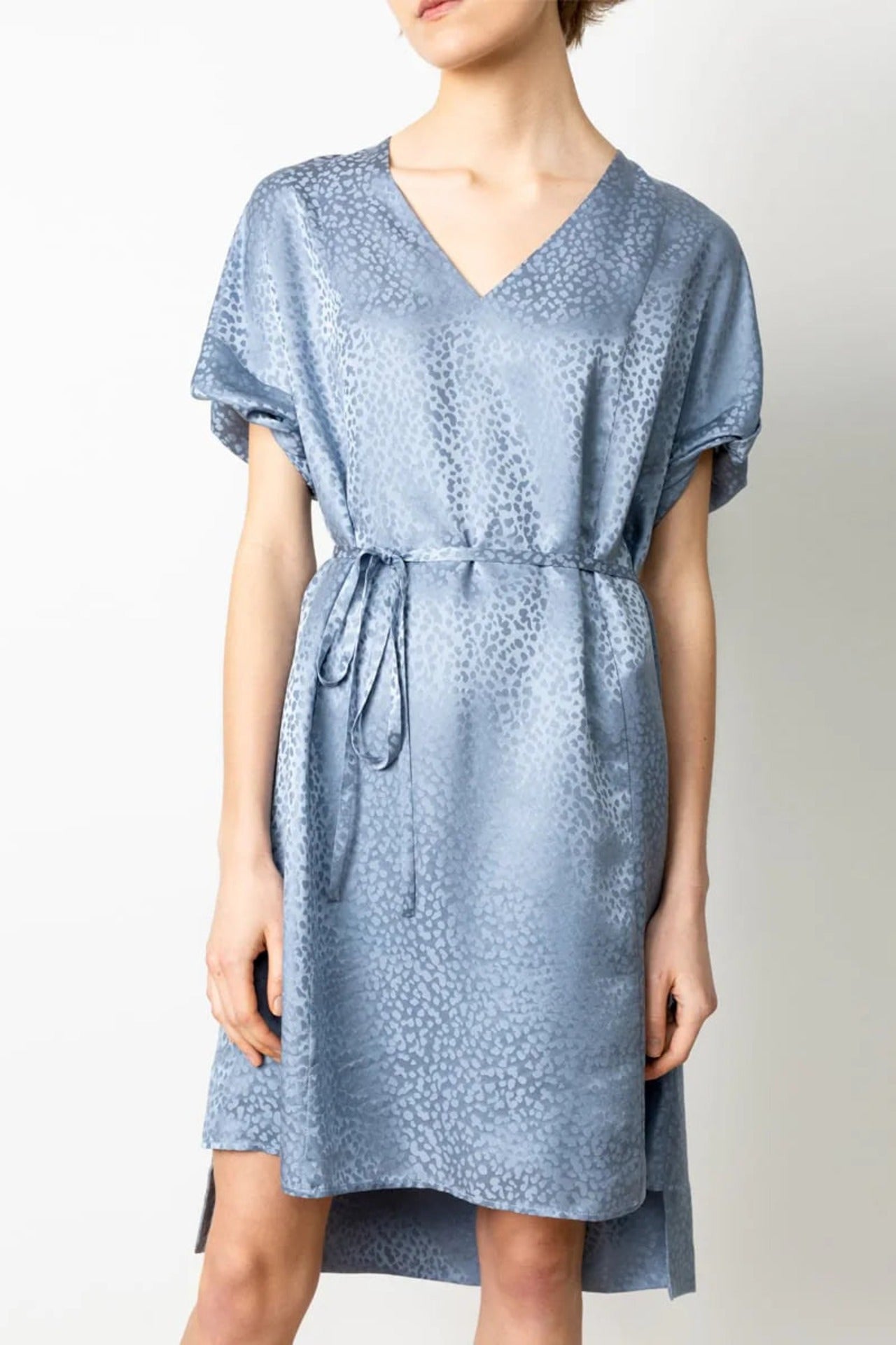 Day Silk Dress Blue Jacquard - Studio Heijne