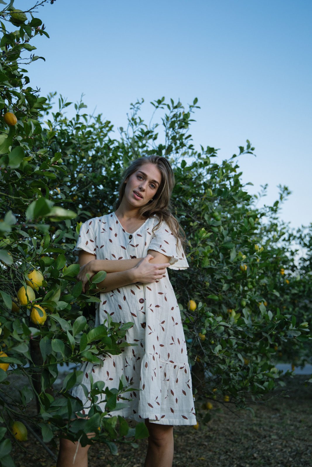 Frill Button Dress Wind