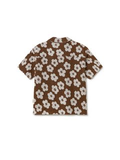 pennata-chocolate-daisies-4407158.jpg?v=1752751188