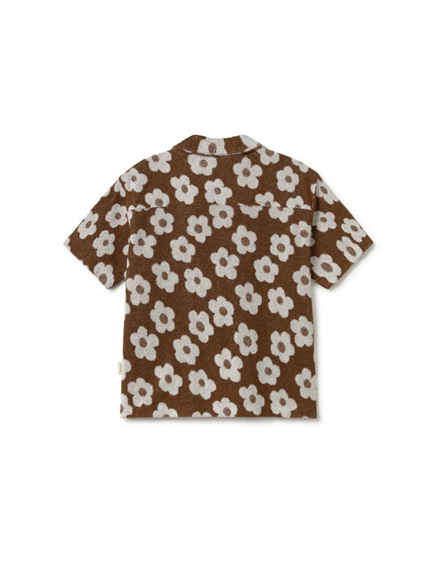 pennata-chocolate-daisies-4407158.jpg?v=1752751188