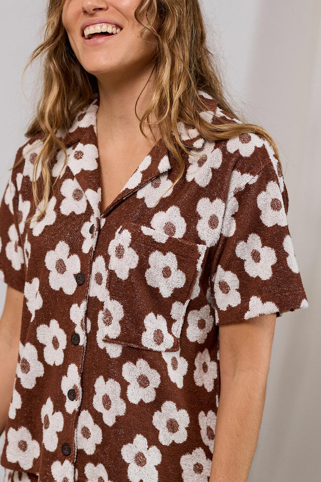 pennata-chocolate-daisies-6724656.jpg?v=1752751189