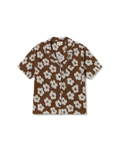 pennata-chocolate-daisies-7933663.jpg?v=1752751187