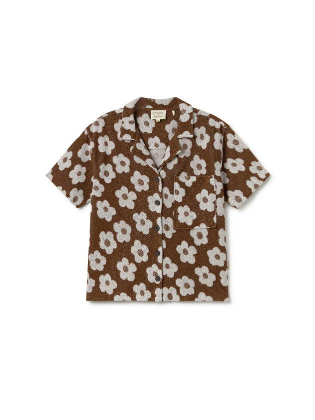 pennata-chocolate-daisies-7933663.jpg?v=1752751187
