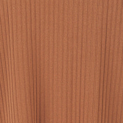 Terra Ribbed Shorts Caramel