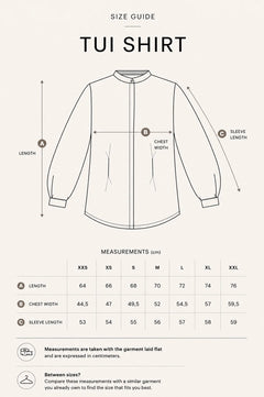 Tui Shirt Stripes Blue