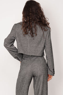 Aspen Cropped Blazer Graphite