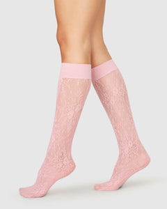 Rosa Lace Knee-Highs Pink