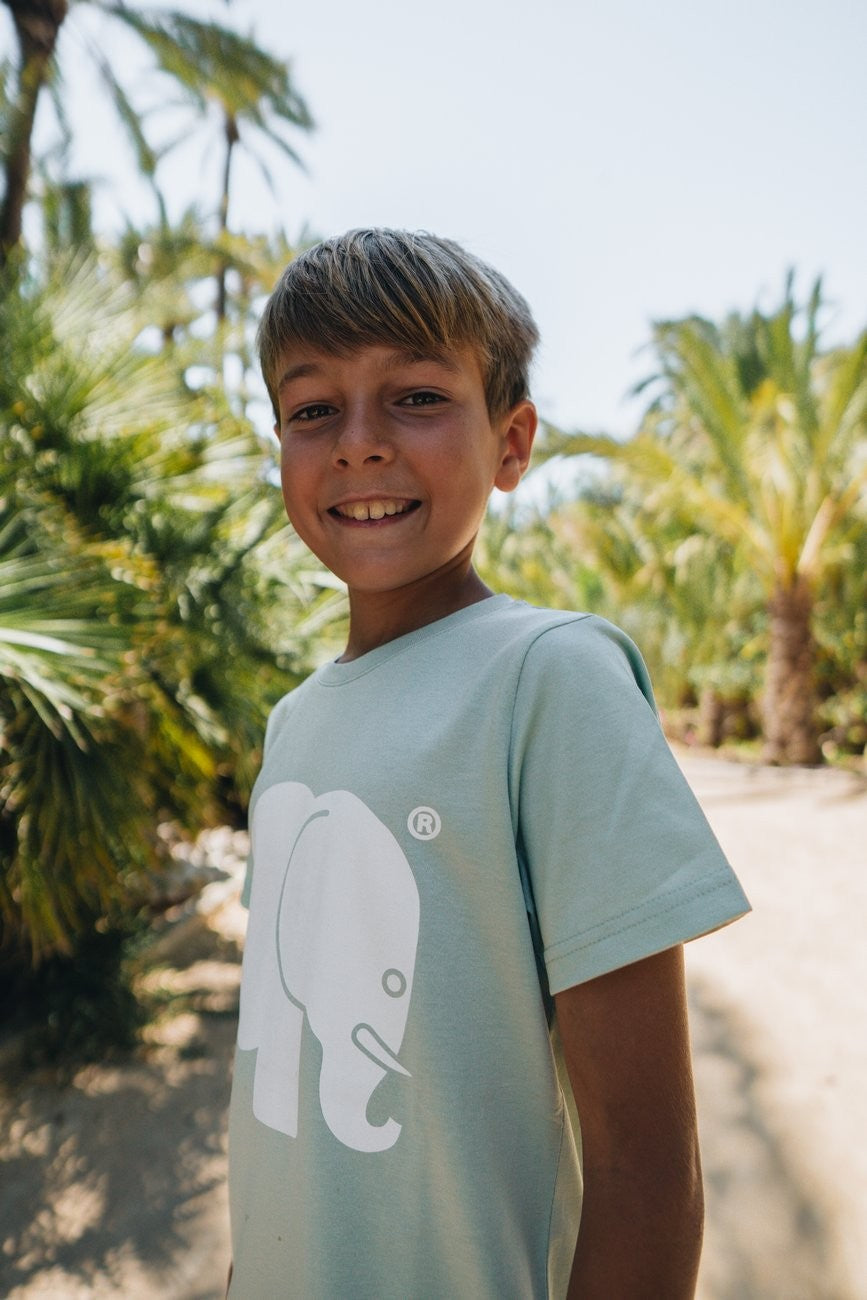 Kids' Organic Classic T-Shirt Mint Green