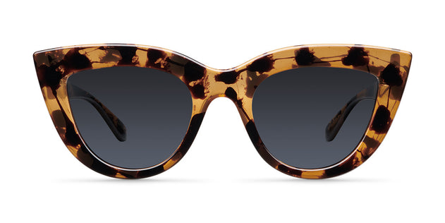 Karoo Sunglasses Tigris Carbon