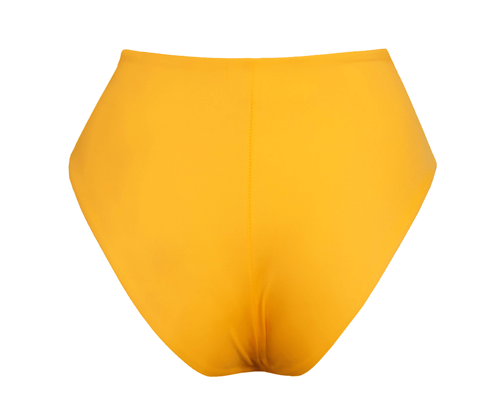 Skyline High Bikini Bottom