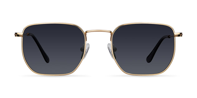 Sunglasses Emin Gold Carbon