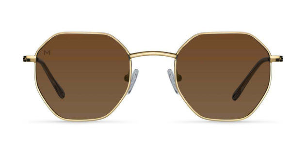 Endo Sunglasses Gold Kakao Brown