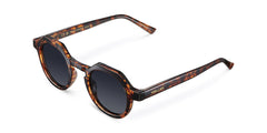 Hasan Sunglasses Tigris Brown/Carbon Black