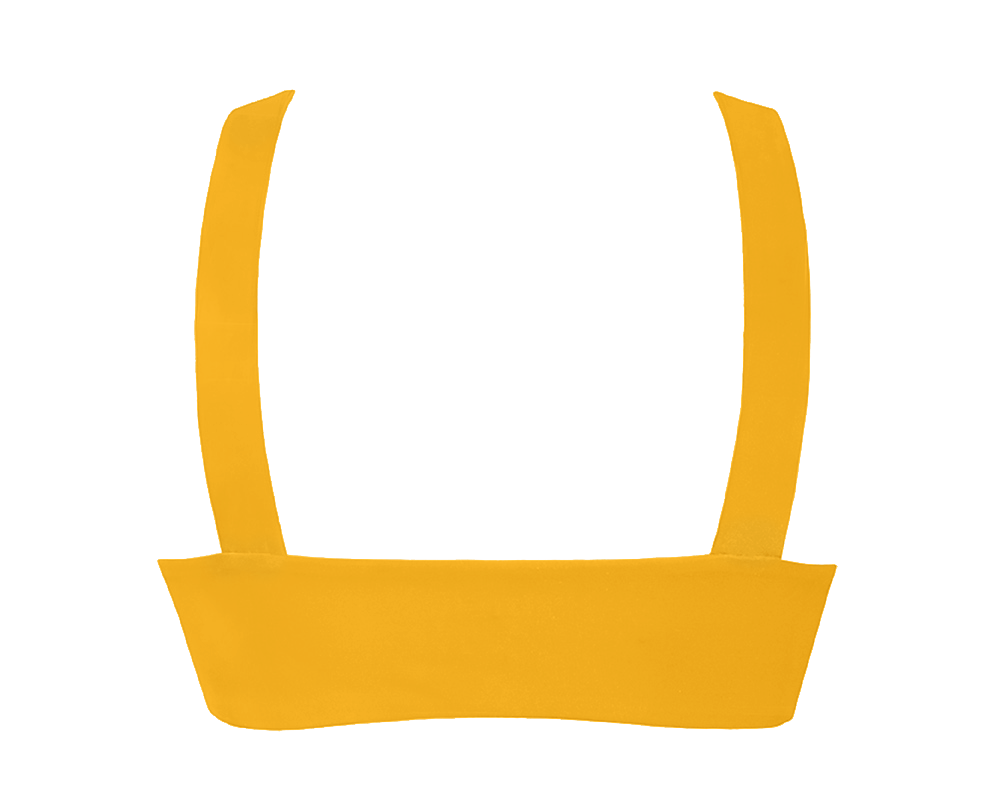 Line Bikini Top