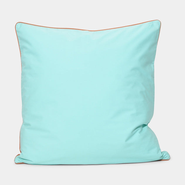 Cushion Mint 50x50