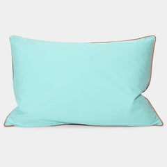 Cushion Mint 40x60