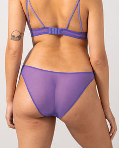 Mesh Bikini Briefs Set